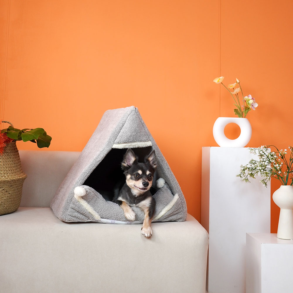 1699948064 thumbnail