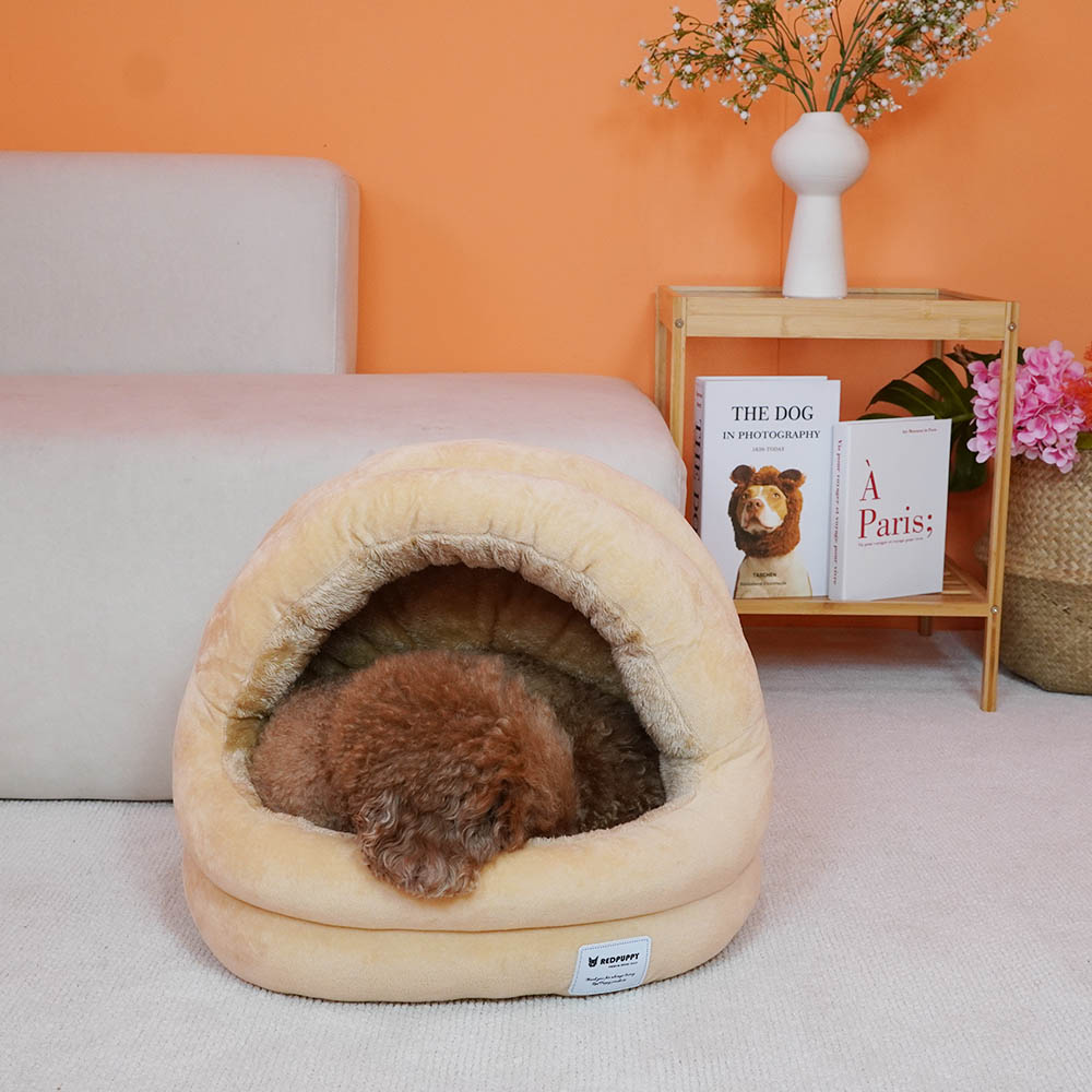 1699948066 thumbnail