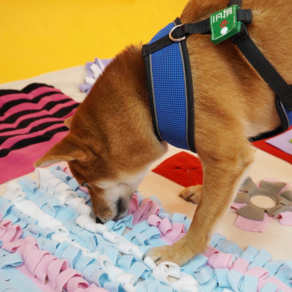 1699948068 thumbnail