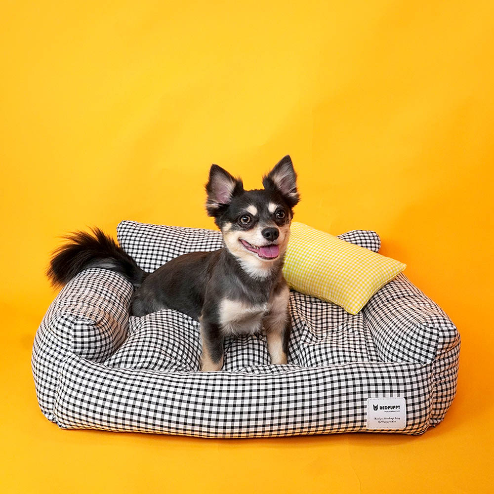 1699948070 thumbnail