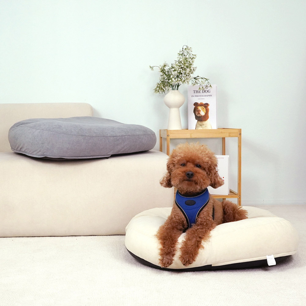 1699948071 thumbnail