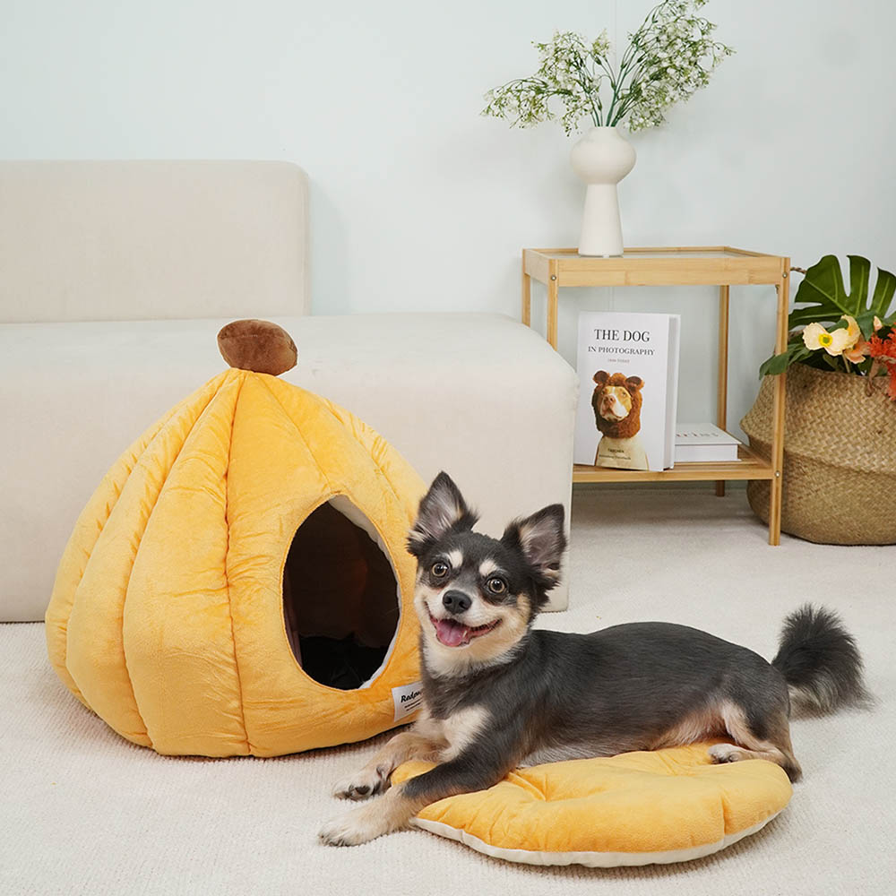 1699948074 thumbnail