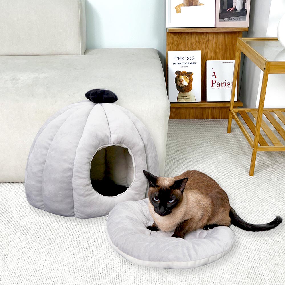 1699948075 thumbnail