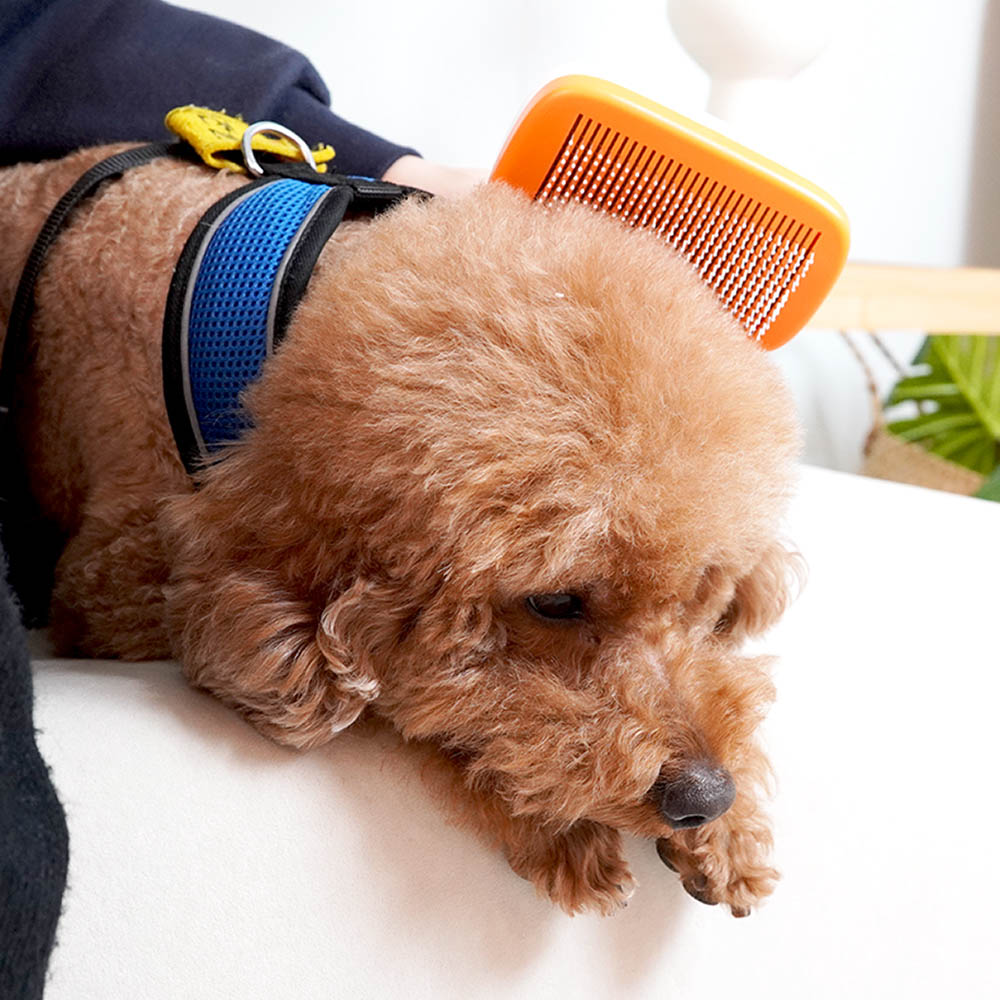 1699948076 thumbnail