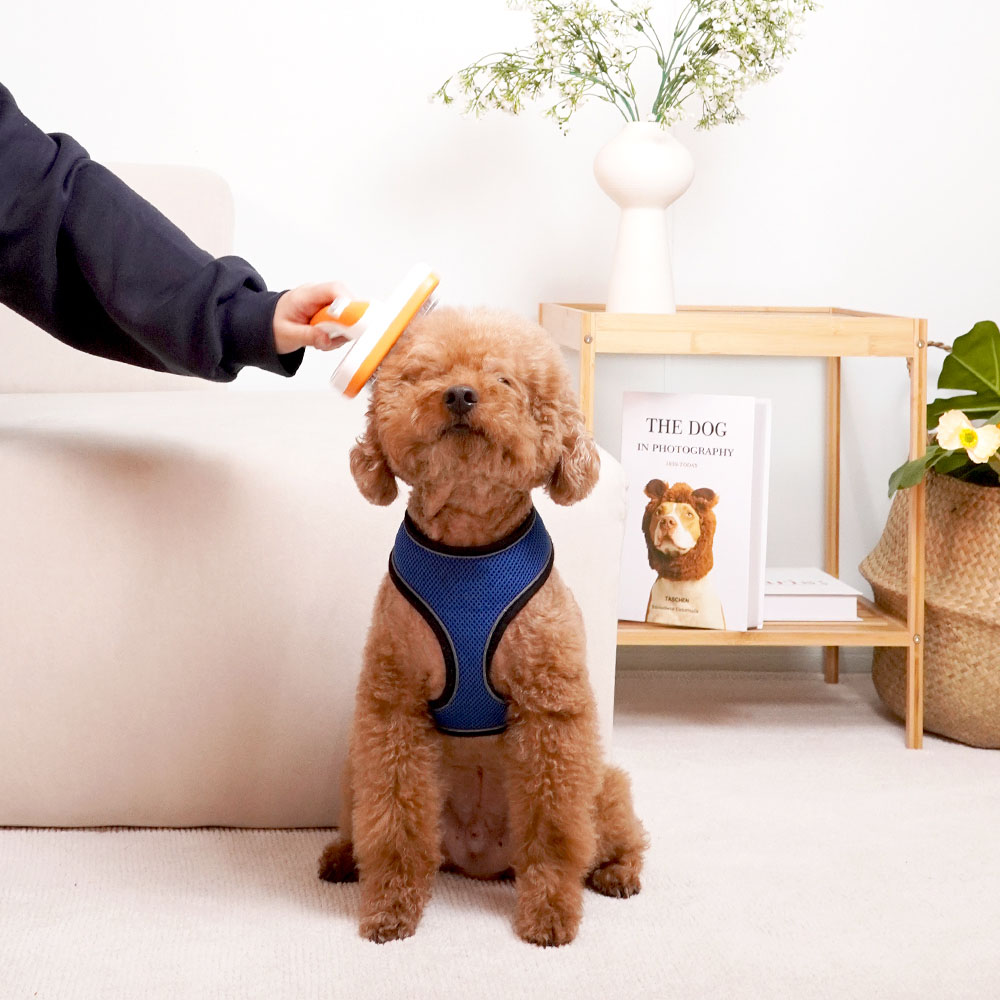 1699948077 thumbnail