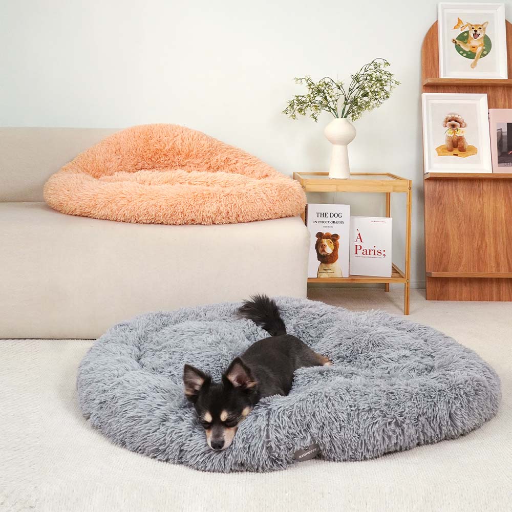 1699948078 thumbnail