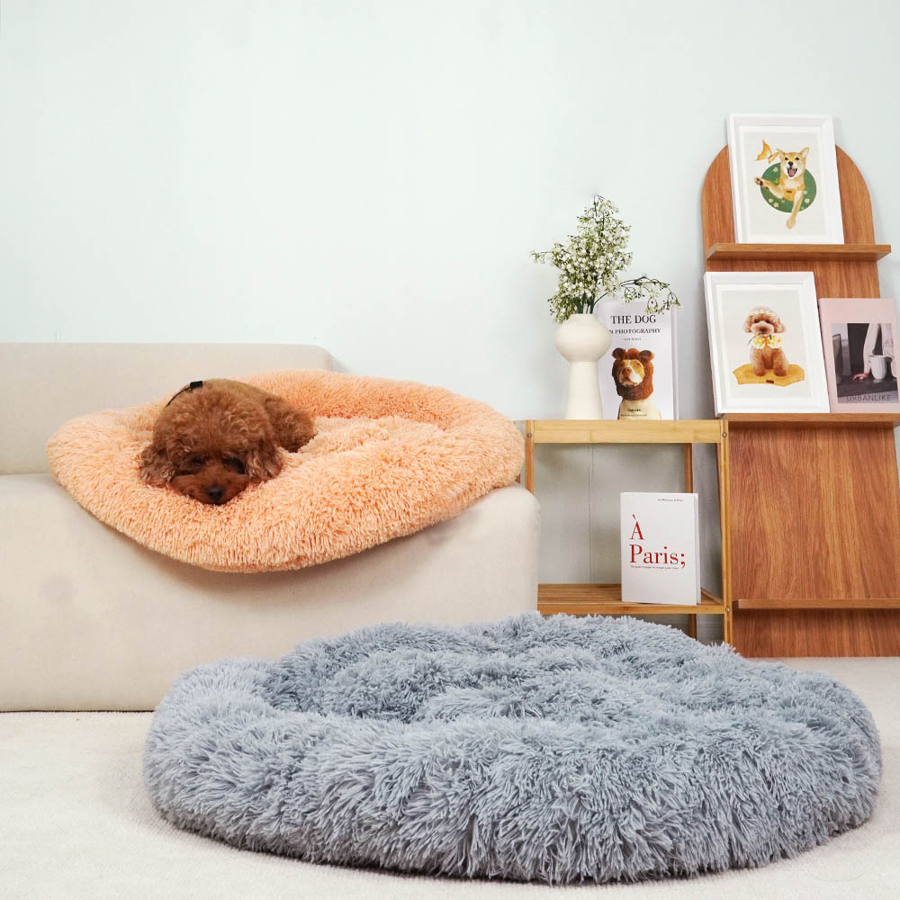 1699948079 thumbnail