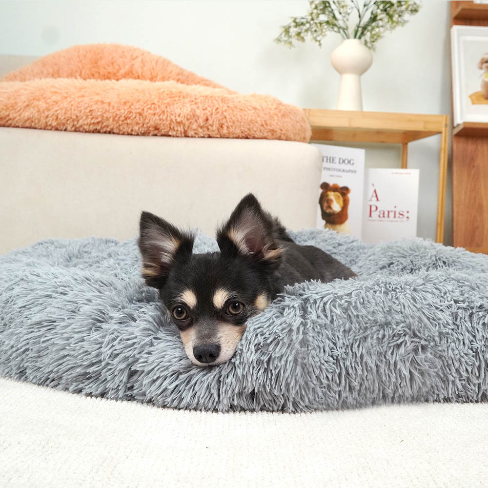 1699948080 thumbnail