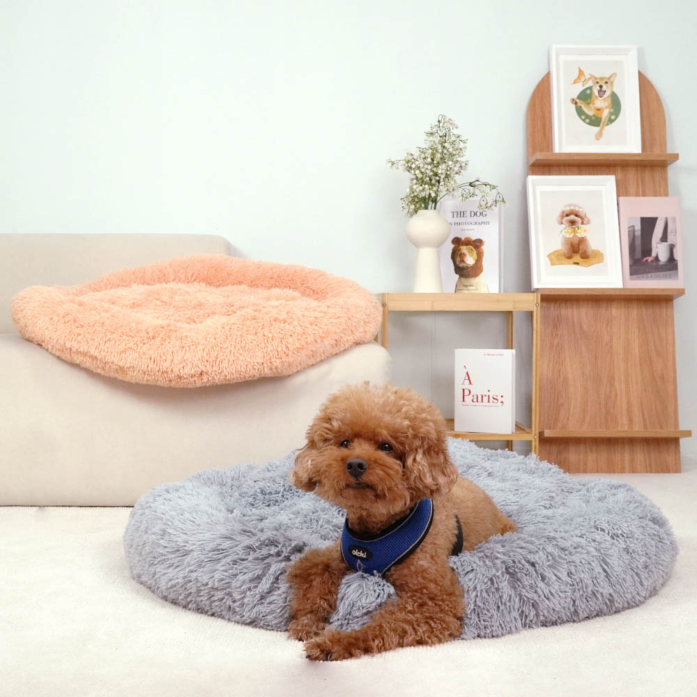 1699948081 thumbnail