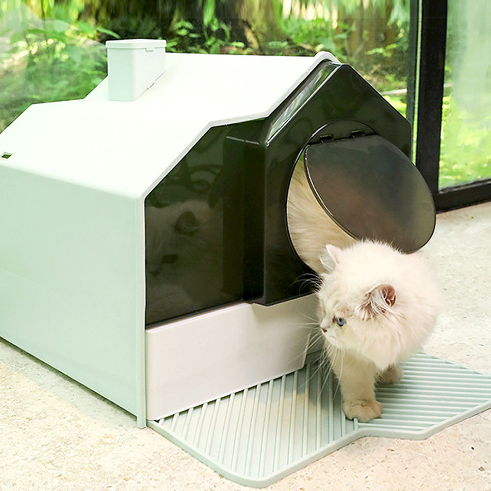 1699948082 thumbnail