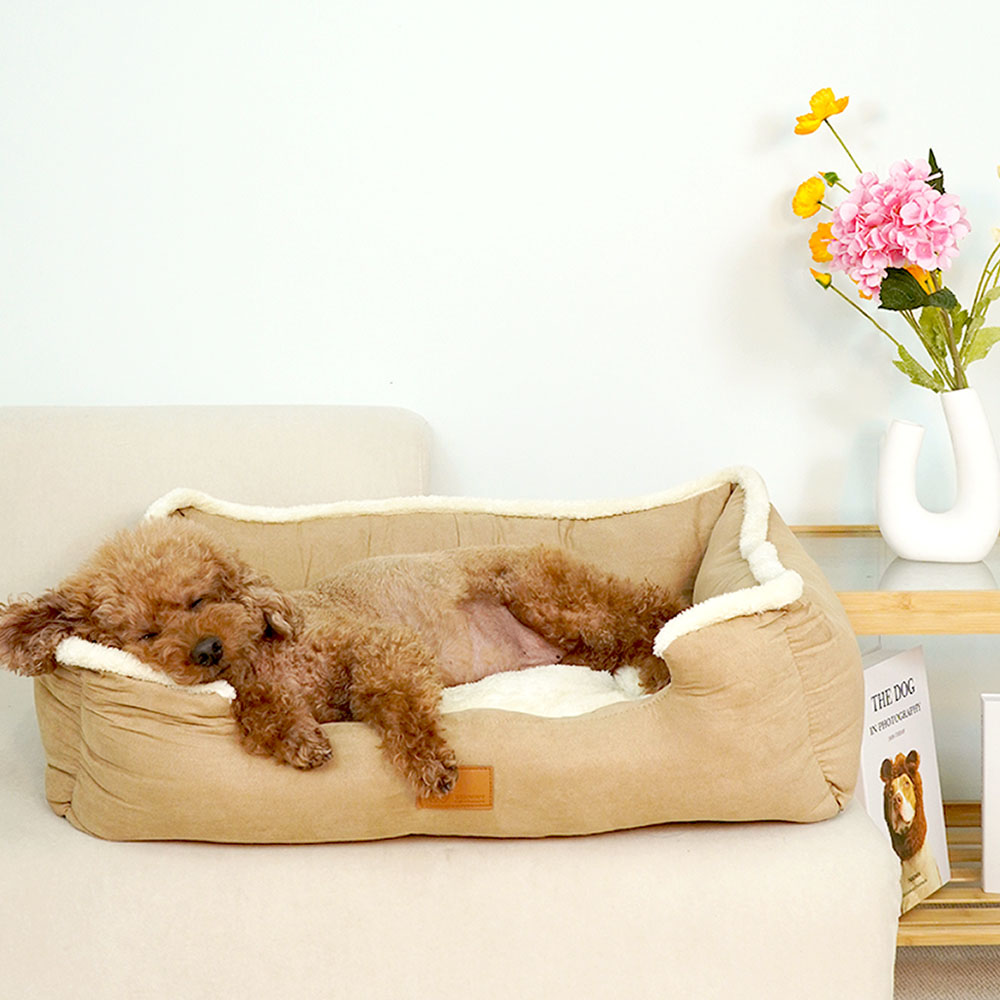 1699948083 thumbnail