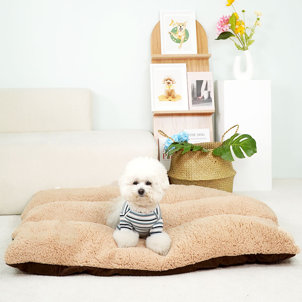 1699948084 thumbnail