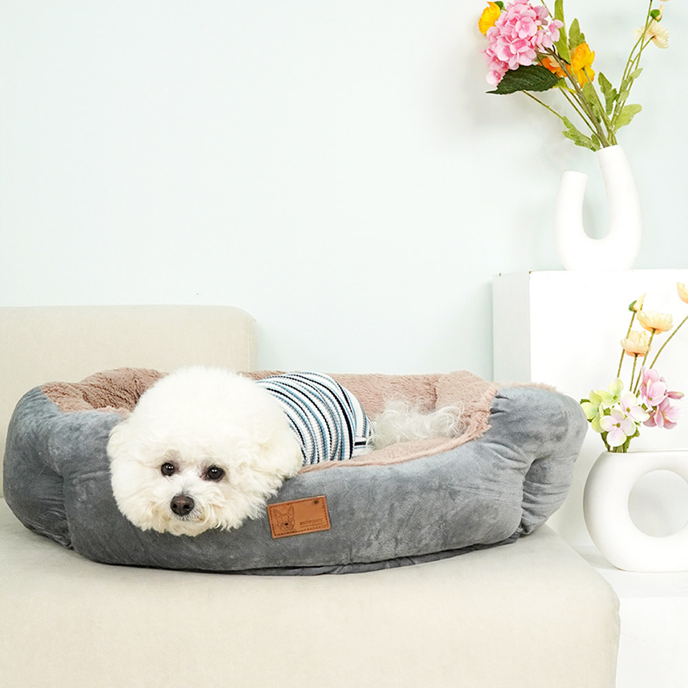 1699948086 thumbnail