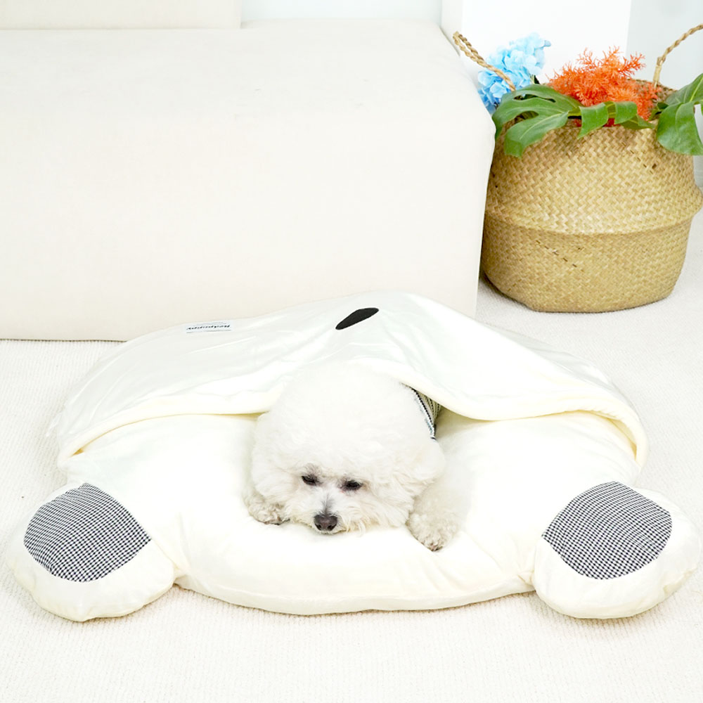 1699948087 thumbnail