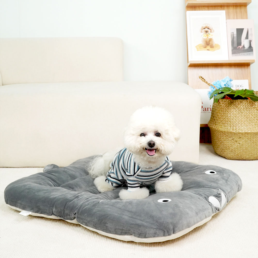 1699948089 thumbnail