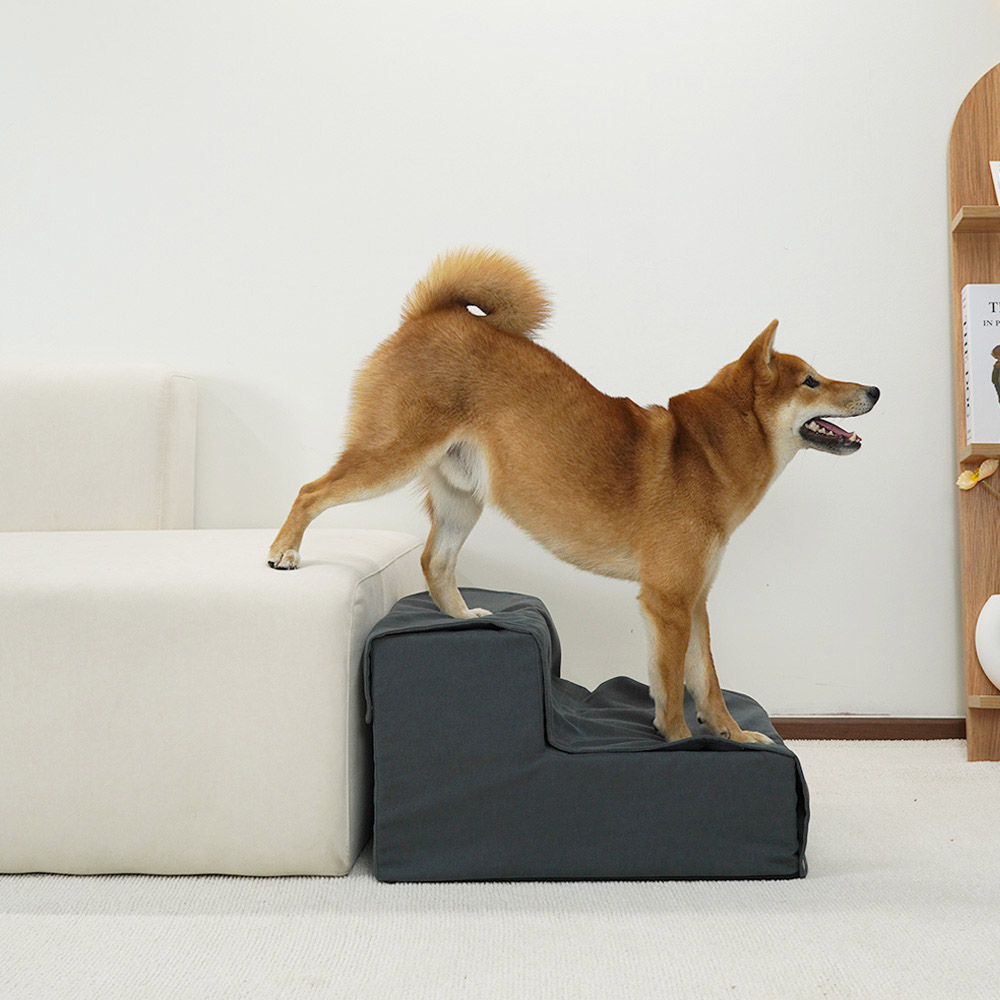 1699948091 thumbnail