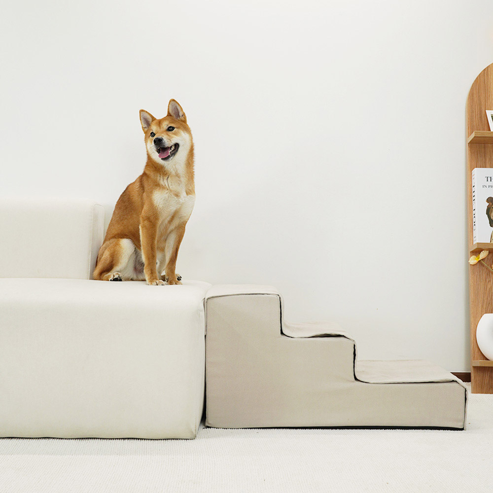 1699948092 thumbnail