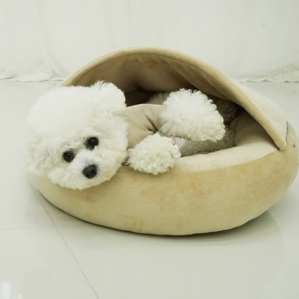 1699948093 thumbnail