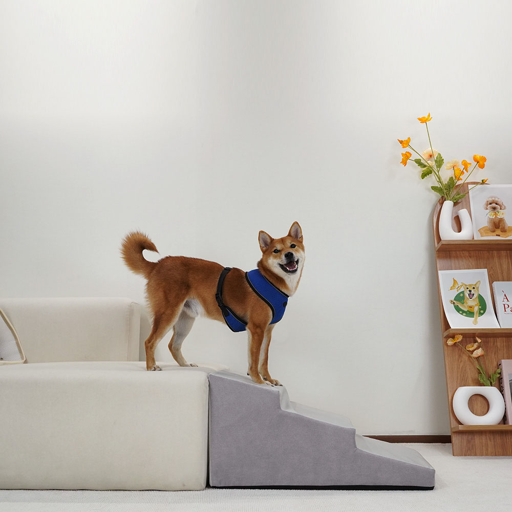 1699948096 thumbnail