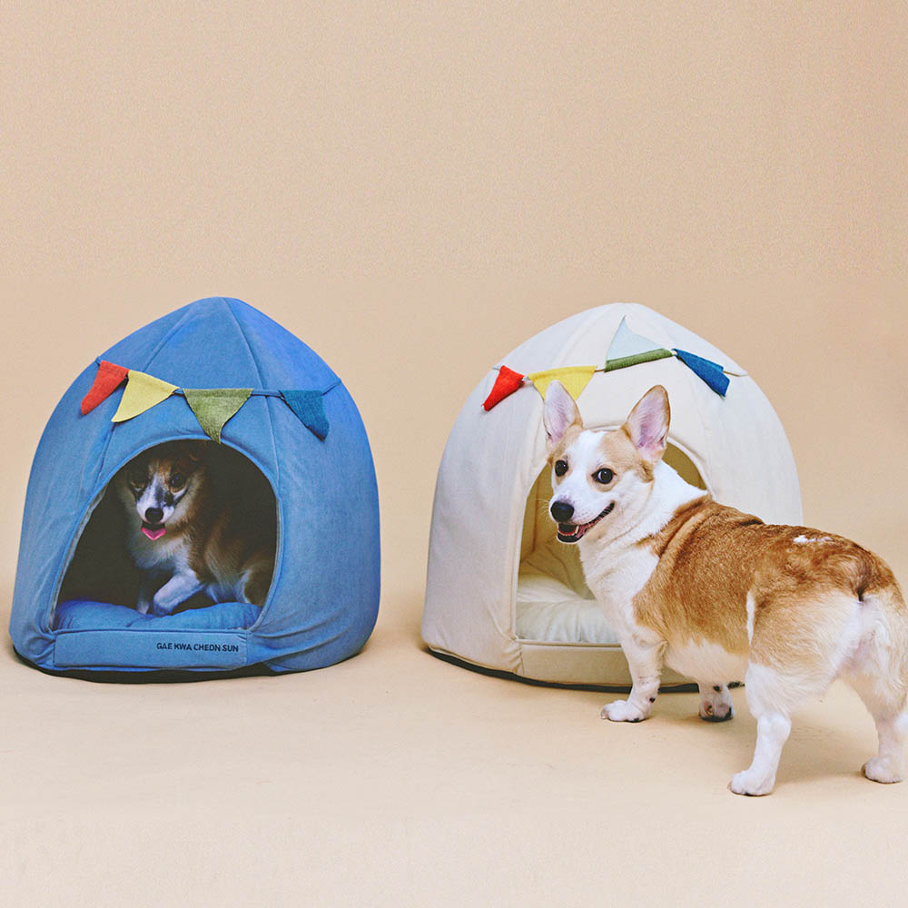 1699948097 thumbnail