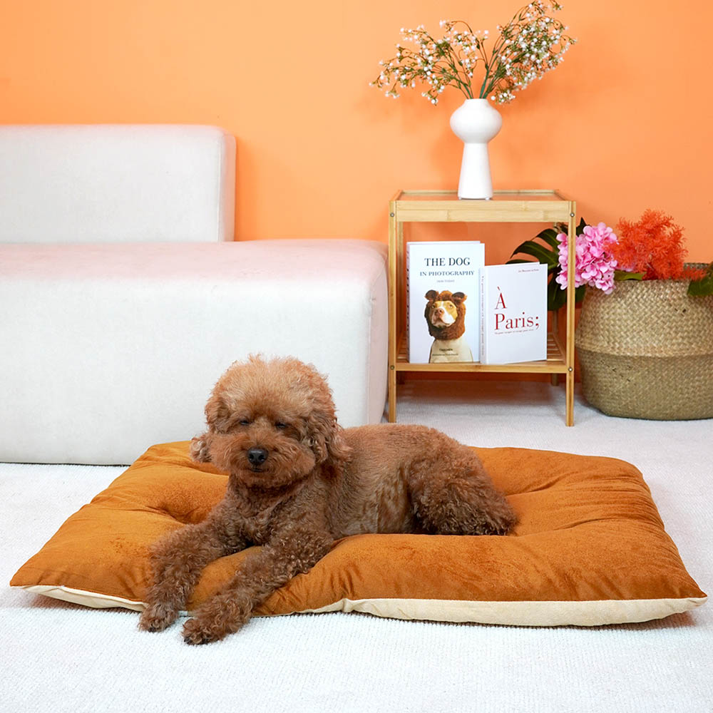 1699948098 thumbnail