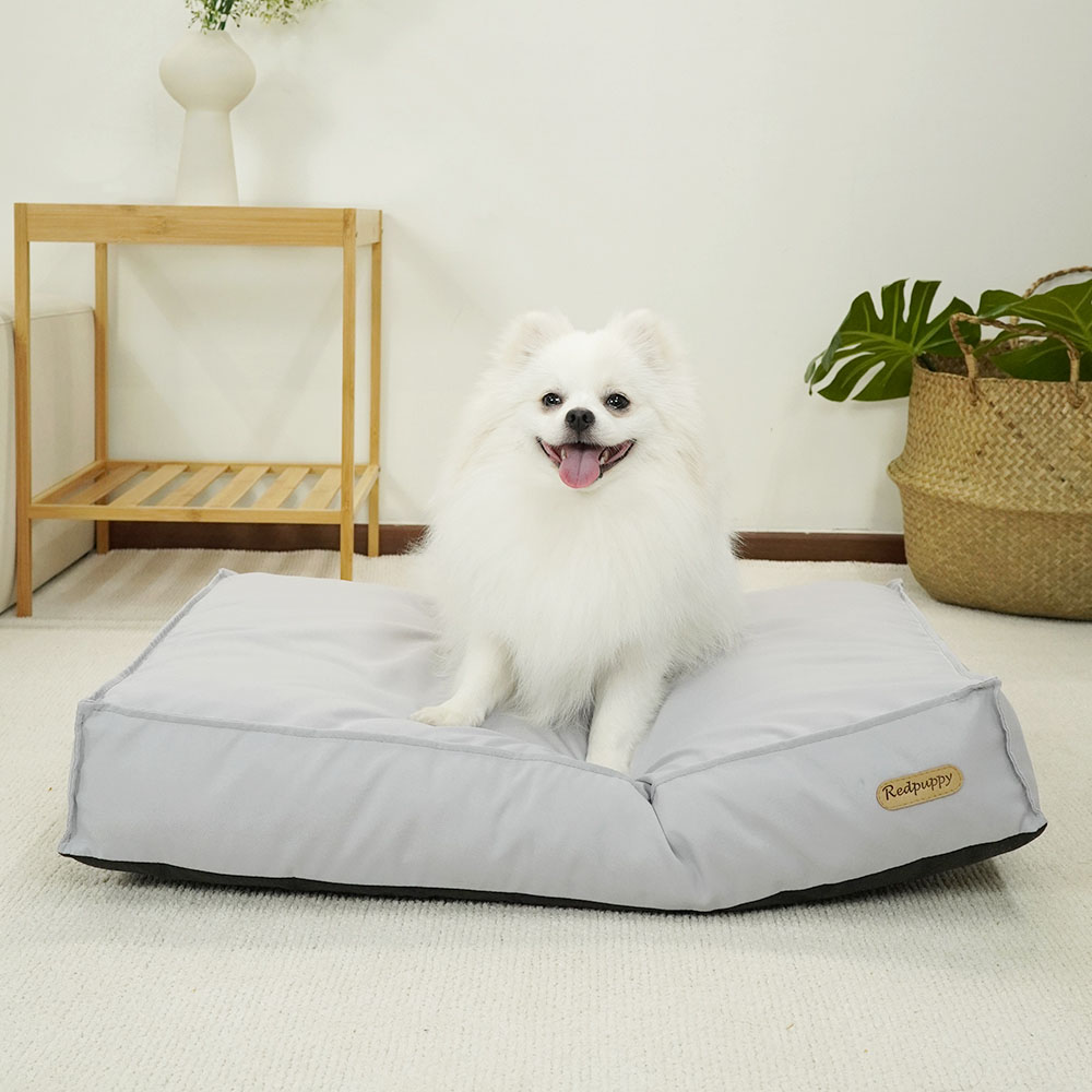 1699948099 thumbnail