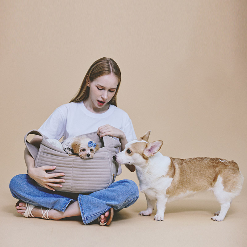 1699948100 thumbnail