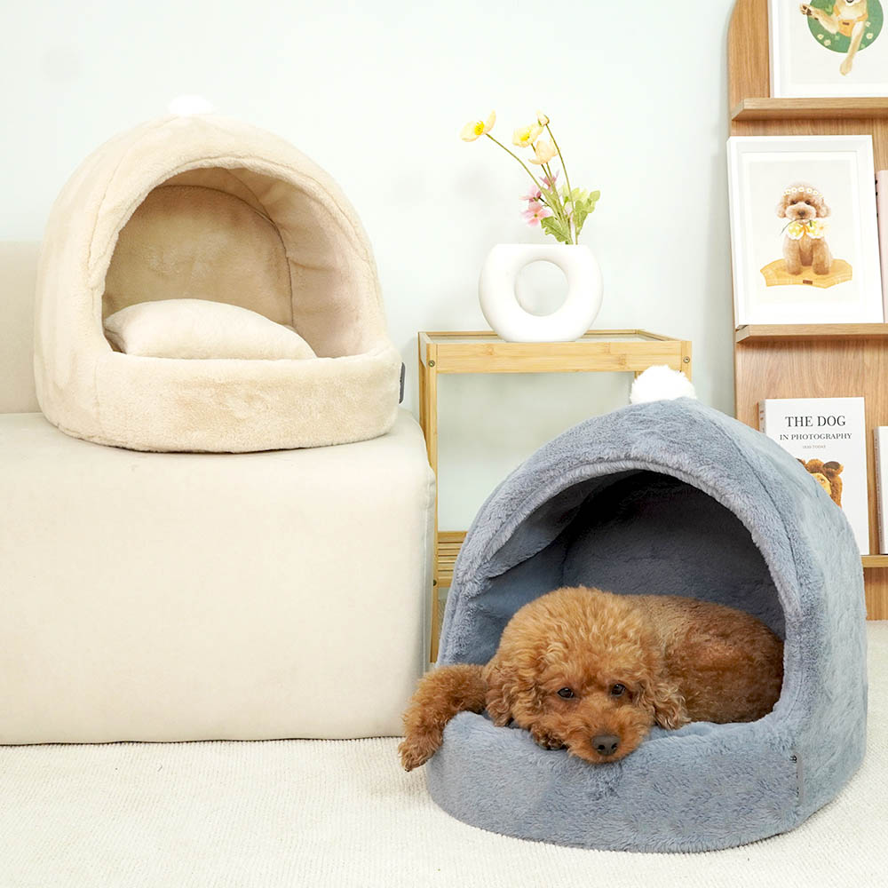 1699948101 thumbnail