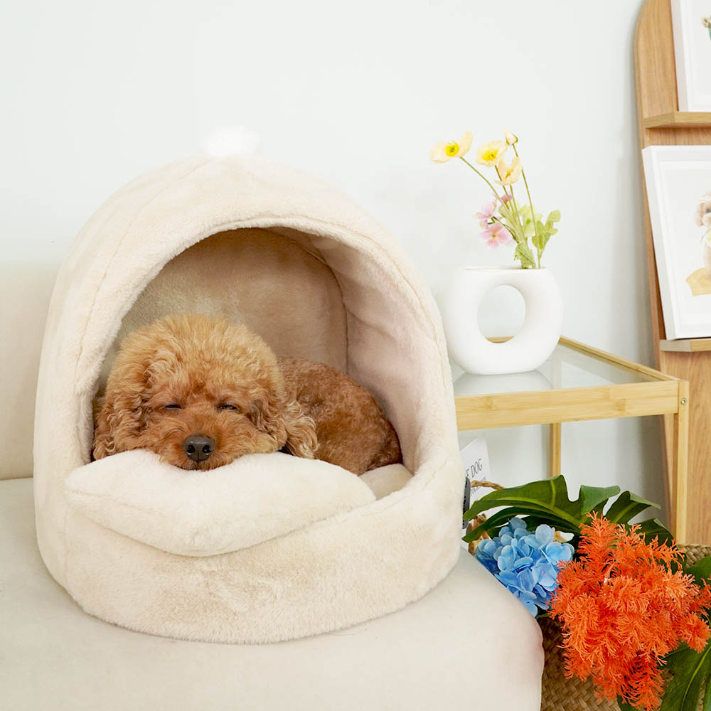 1699948102 thumbnail