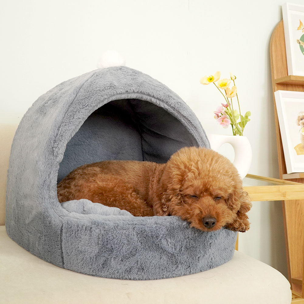 1699948103 thumbnail