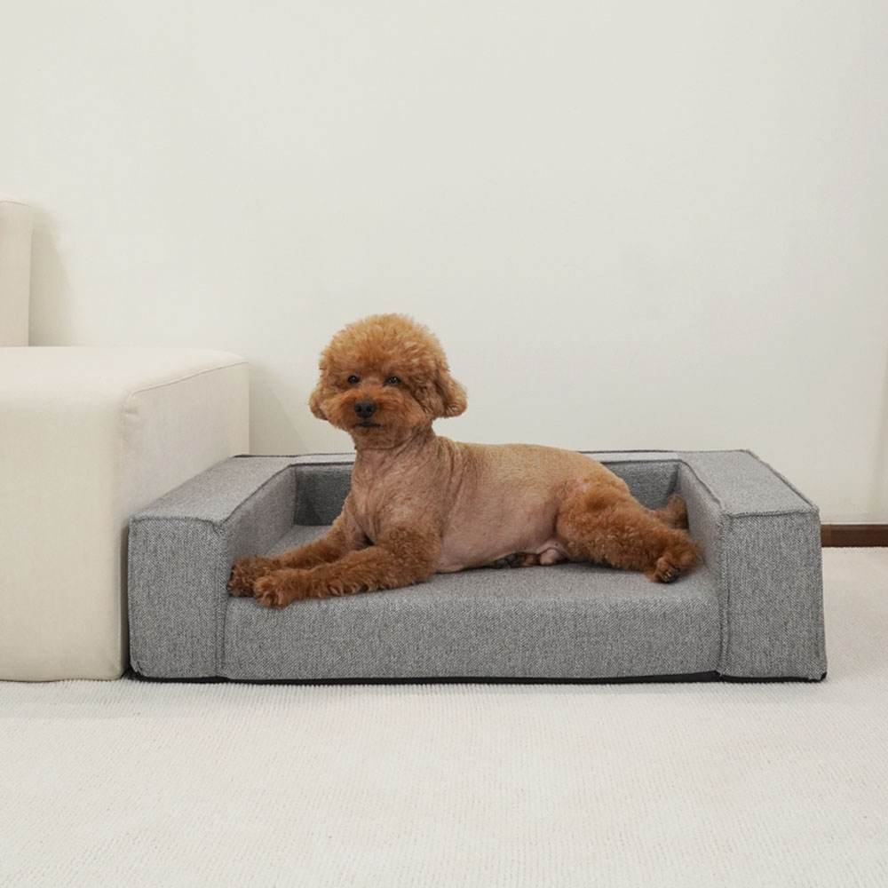 1699948104 thumbnail