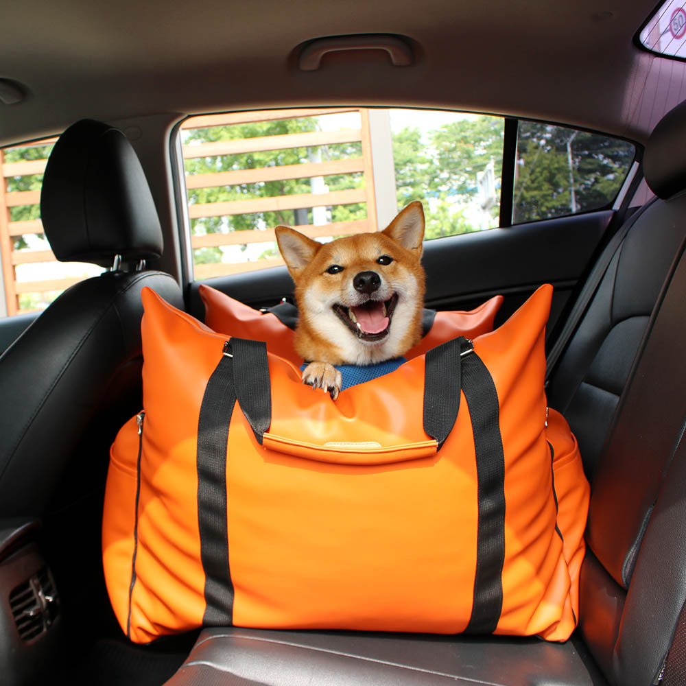 1699948105 thumbnail