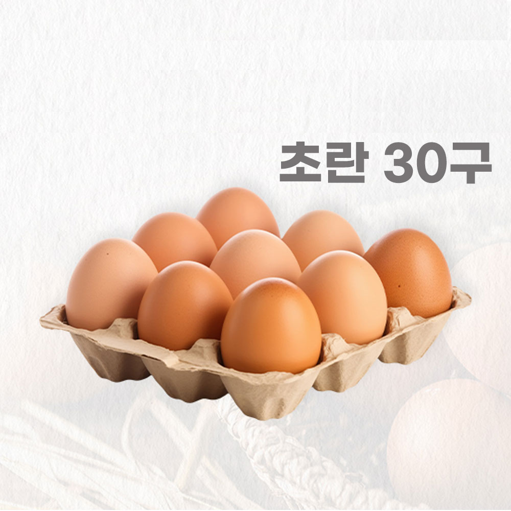 1700020462 thumbnail