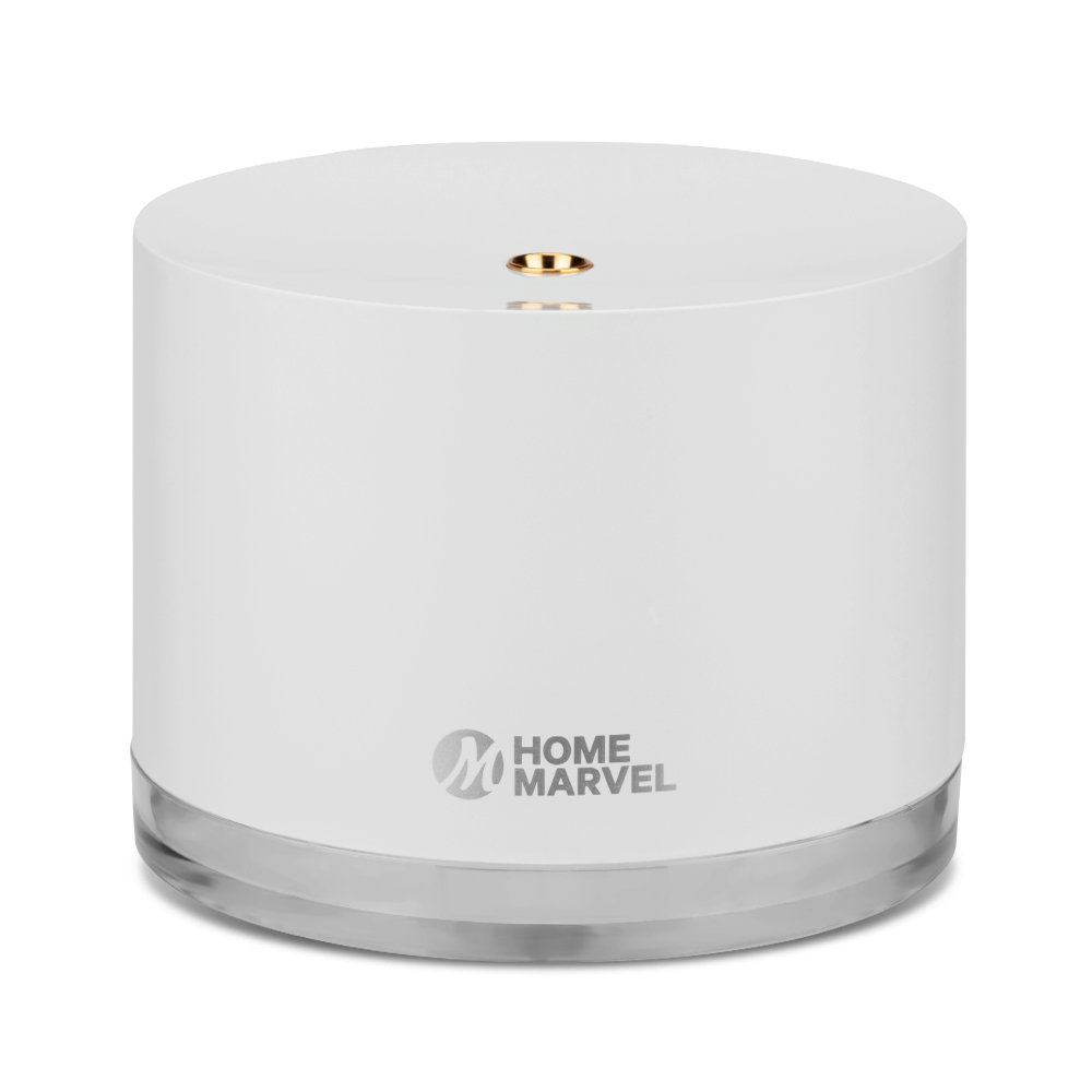 1700032764 thumbnail