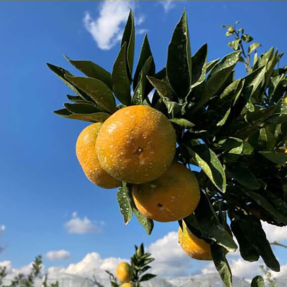 1700119840 thumbnail