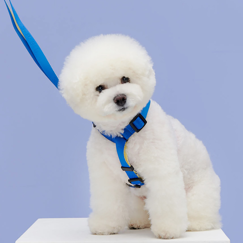 1700699318 thumbnail