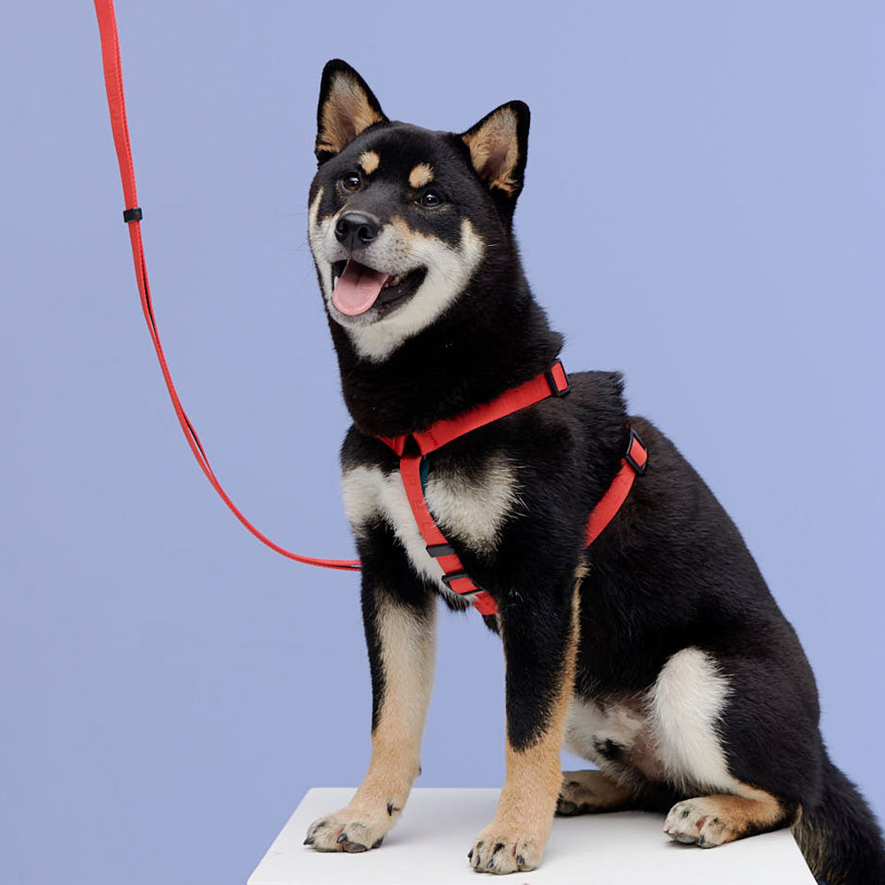 1700699319 thumbnail