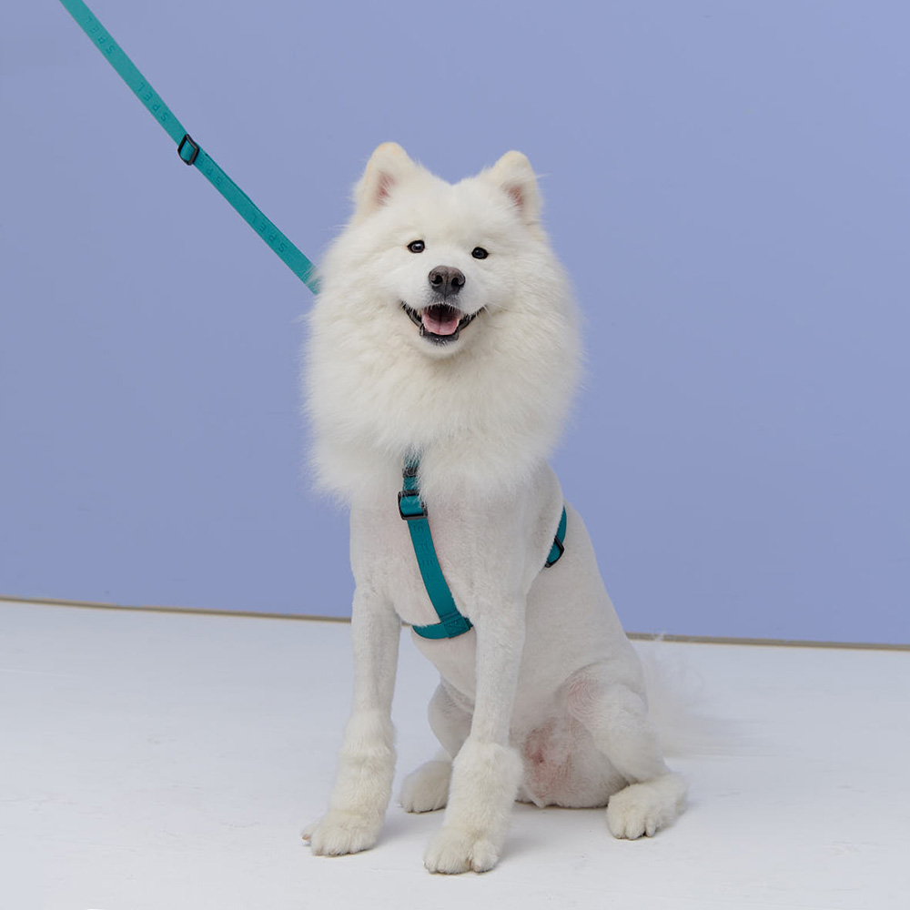 1700699320 thumbnail