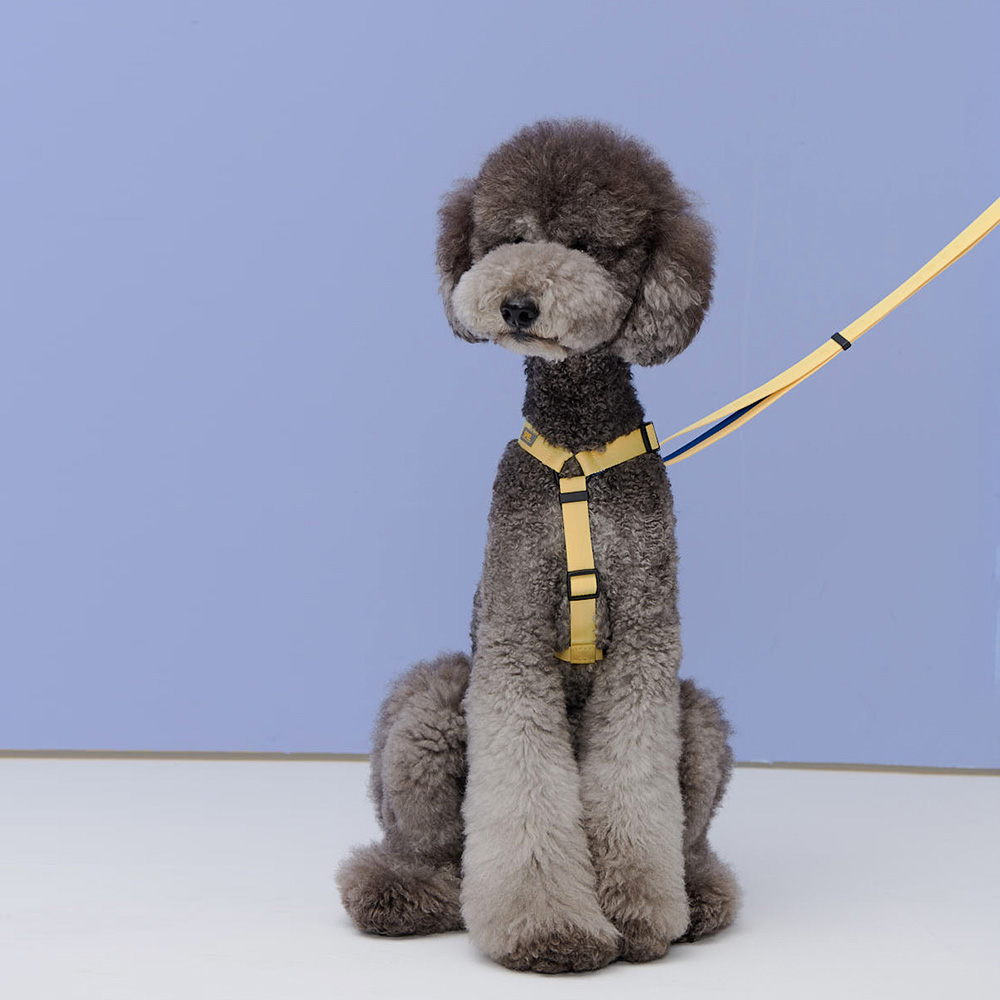 1700699321 thumbnail