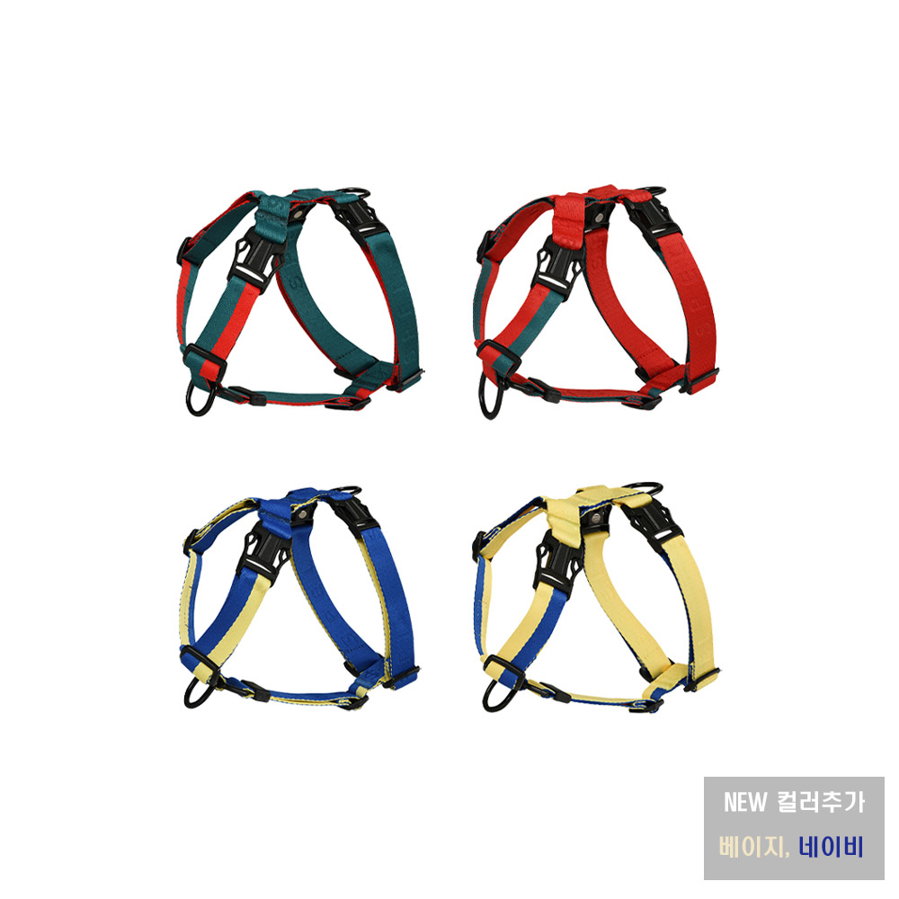 1700699325 thumbnail