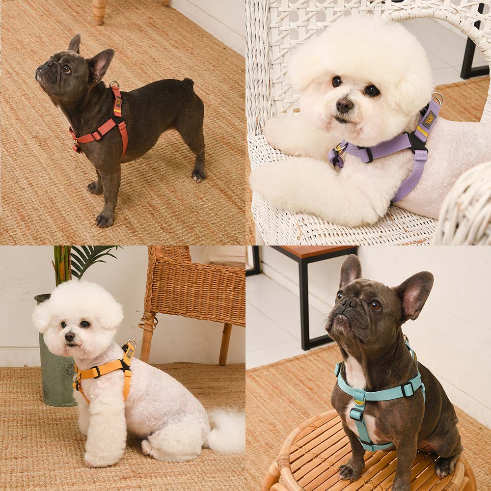 1700699326 thumbnail