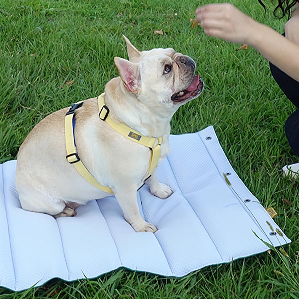 1700699327 thumbnail