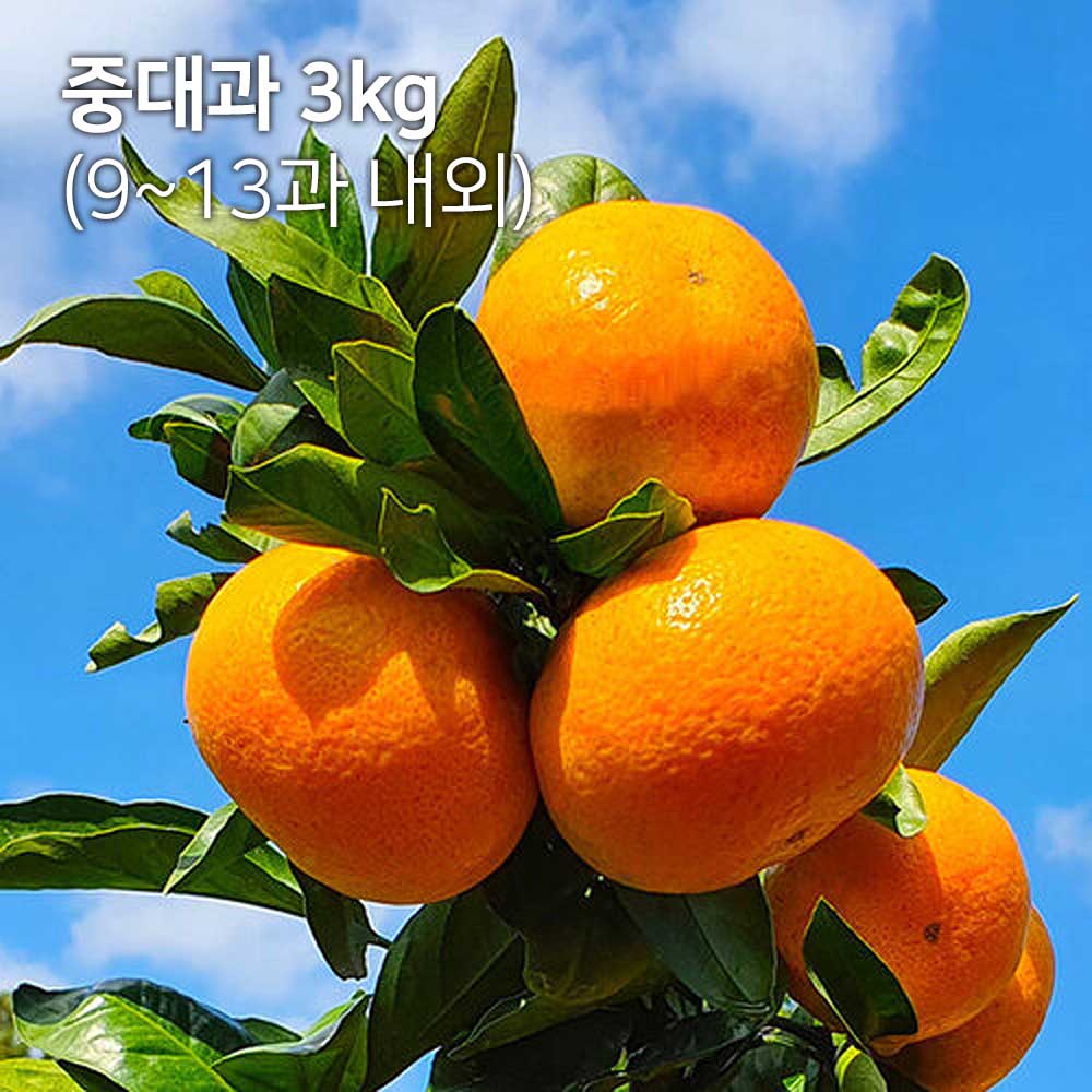 1700719511 thumbnail