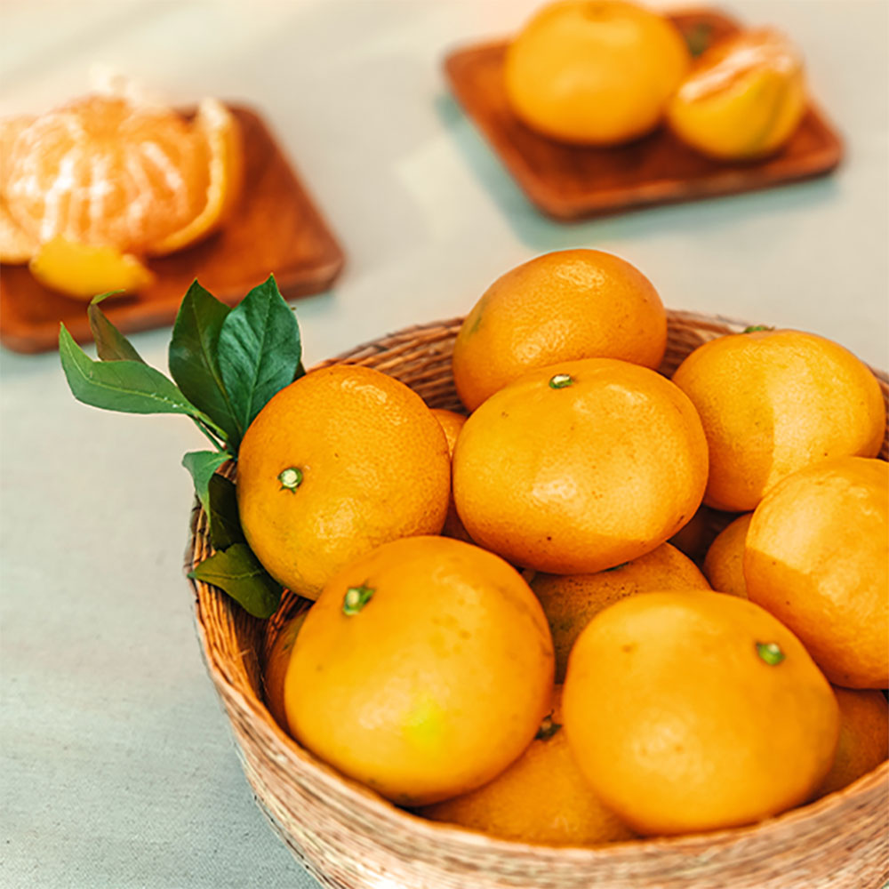 1700727784 thumbnail