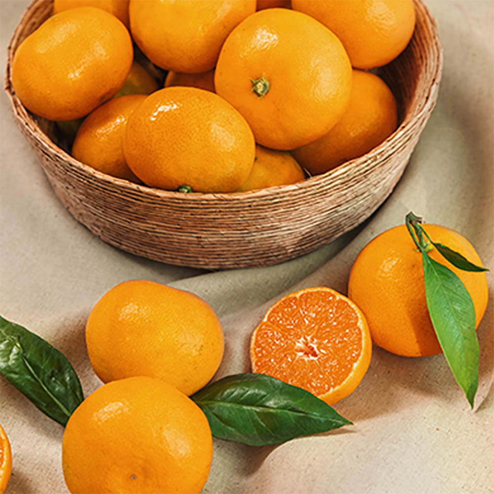 1700727789 thumbnail