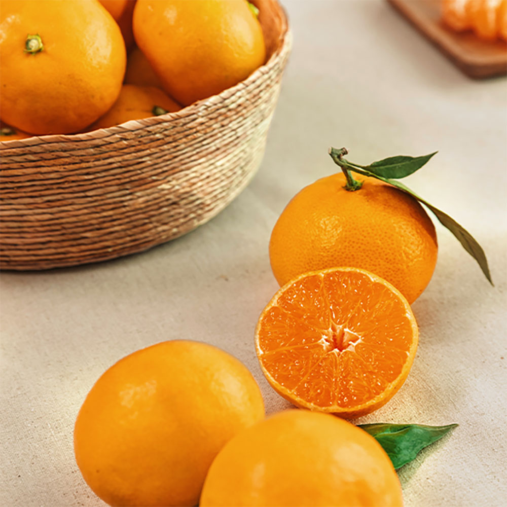 1700727790 thumbnail