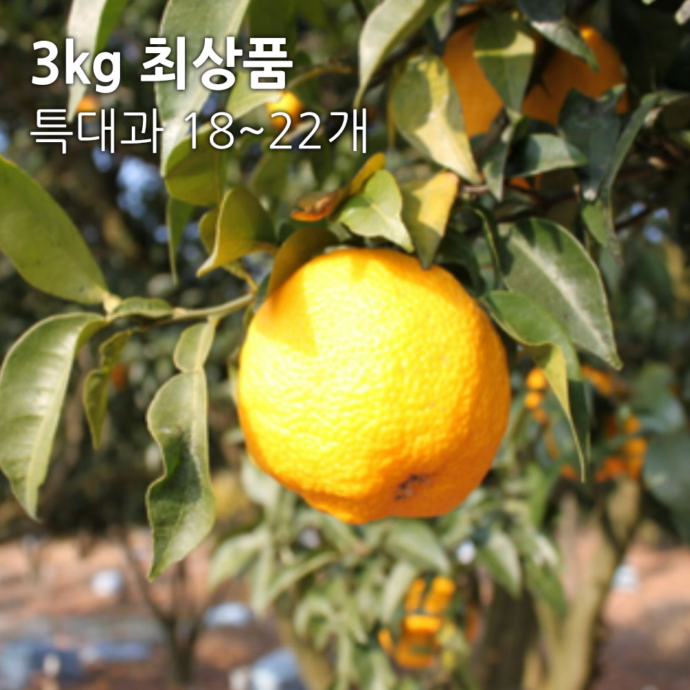 1700791163 thumbnail