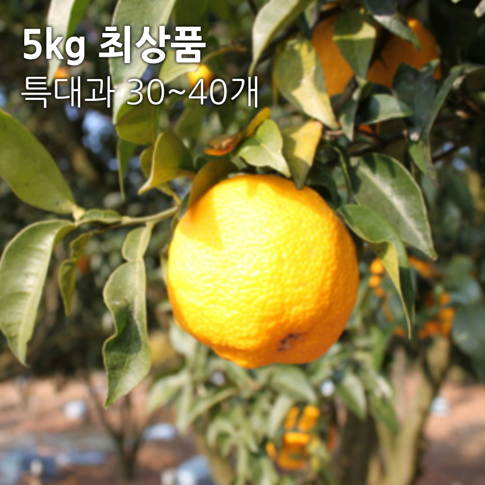 1700791164 thumbnail