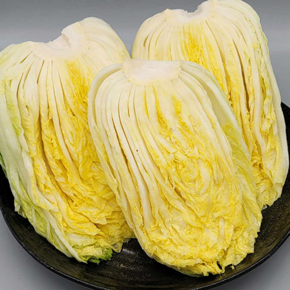 1700791165 thumbnail