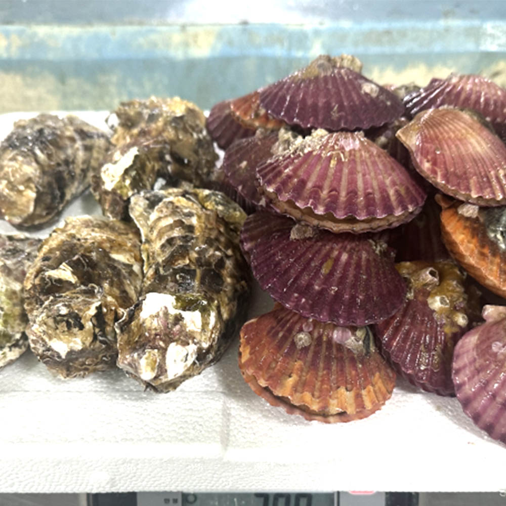 1700800803 thumbnail